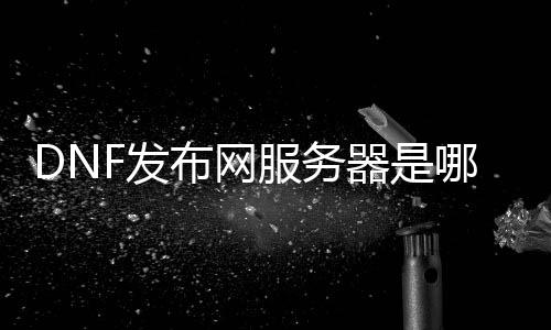 DNF发布网服务器是哪来的