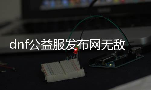 dnf公益服发布网无敌人偶（dnf公益服发布网免费辅助）